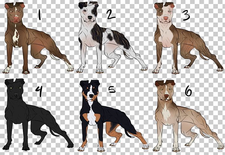 American Pit Bull Terrier American Bully Whippet PNG, Clipart, American Bully, American Pit Bull Terrier, American Staffordshire Terrier, Animal, Animals Free PNG Download