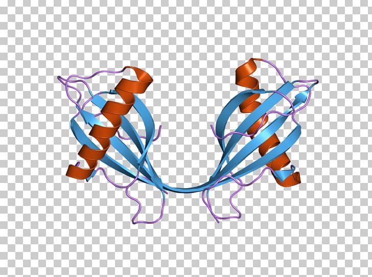 Cystatin B Protein Gene Dimer PNG, Clipart, Body Jewellery, Body Jewelry, Cathepsin, Cystatin, Cystatin B Free PNG Download