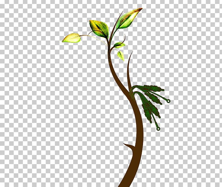 Twig Frames Window Branch PNG, Clipart, Artwork, Branch, Door, Flora, Floral Design Free PNG Download
