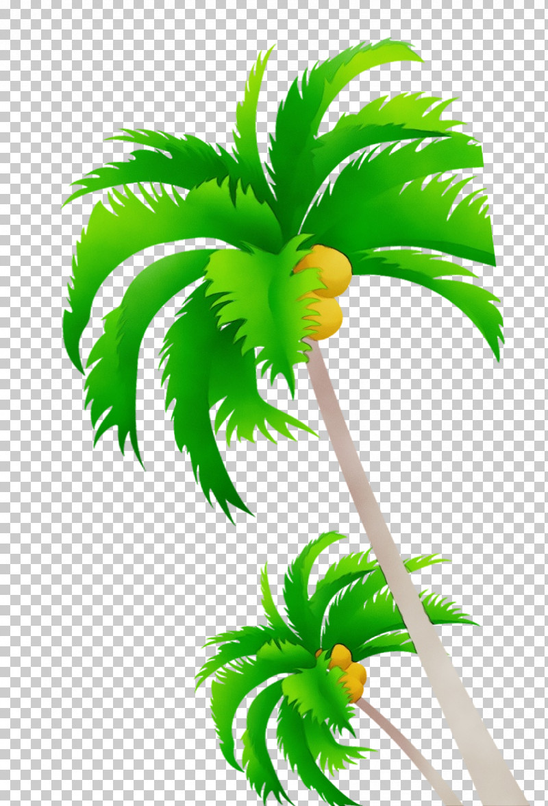 Palm Trees PNG, Clipart, Cartoon, Coconut, Coconut Milk, Coconut Water, Fruit Tree Free PNG Download