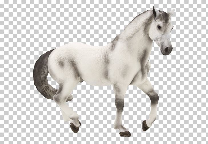 Andalusian Horse Lipizzan Appaloosa Fjord Horse Stallion PNG, Clipart, American Quarter Horse, Andalusian Horse, Animal, Animal Figure, Appaloosa Free PNG Download