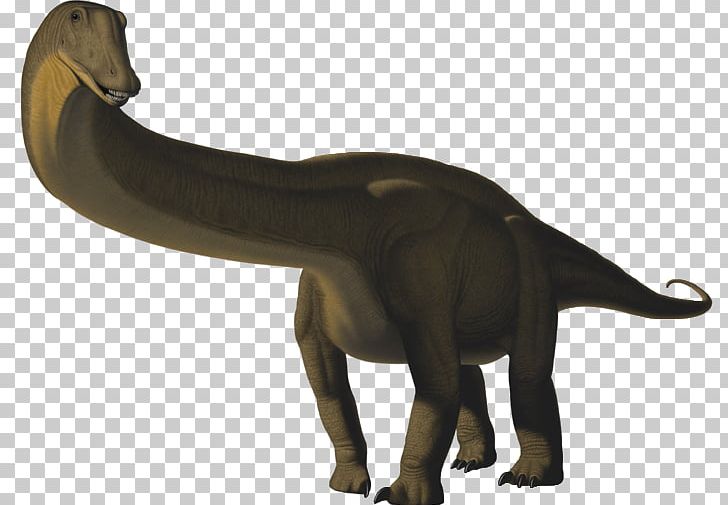 Apatosaurus Brontosaurus Ankylosaurus Tyrannosaurus Allosaurus PNG, Clipart, African Elephant, Allosaurus, Animal, Animal Figure, Ankylosaurus Free PNG Download