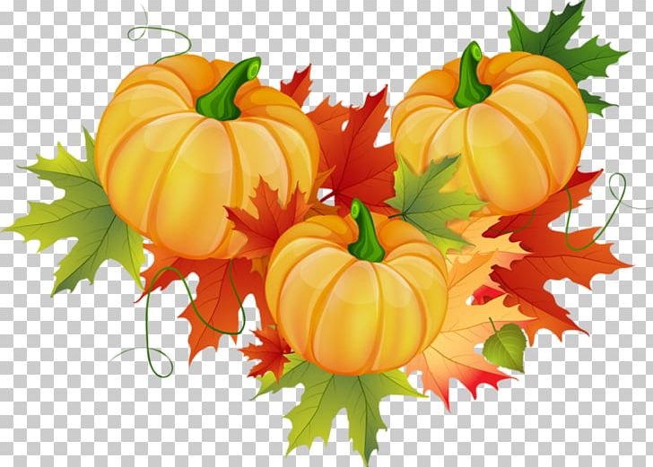 Autumn Pumpkin PNG, Clipart, Art, Autumn, Calabaza, Cucurbita, Decoration Free PNG Download