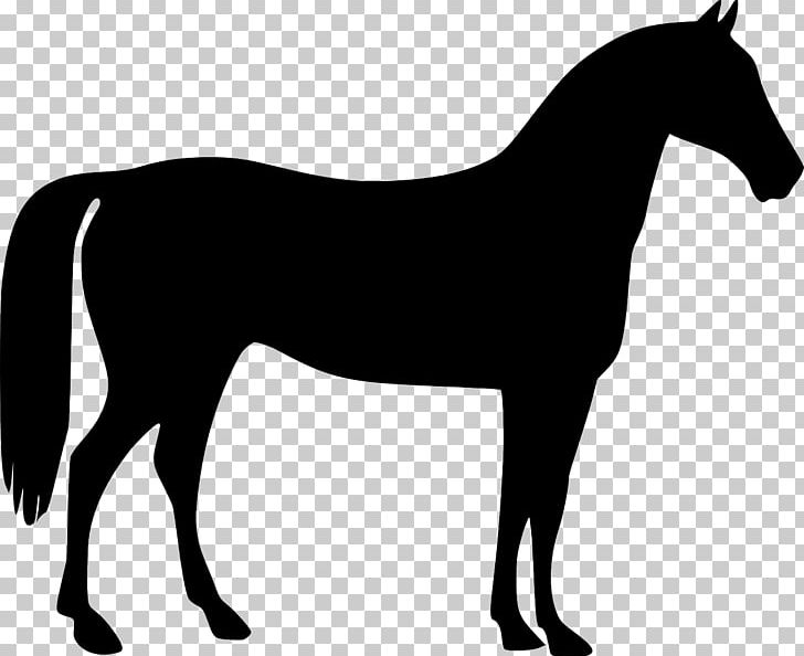 Mustang American Quarter Horse Tennessee Walking Horse Pony PNG, Clipart, Auction, Black, Black And White, Foal, Horse Free PNG Download