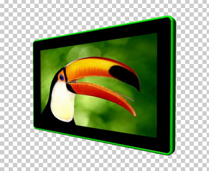 Toco Toucan Parrot Bird Panel PC PNG, Clipart, Animals, Beak, Bird, Computer, Embedded System Free PNG Download