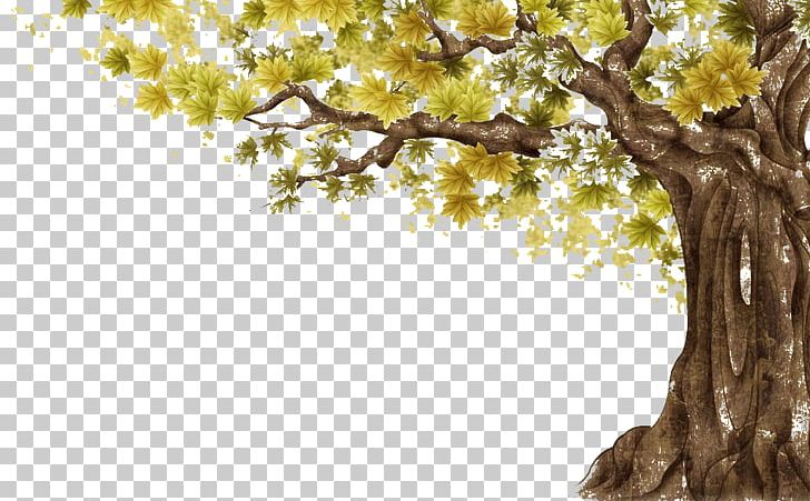 Tree PNG, Clipart, Art, Branch, Computer Wallpaper, Decoration, Decorative Patterns Free PNG Download