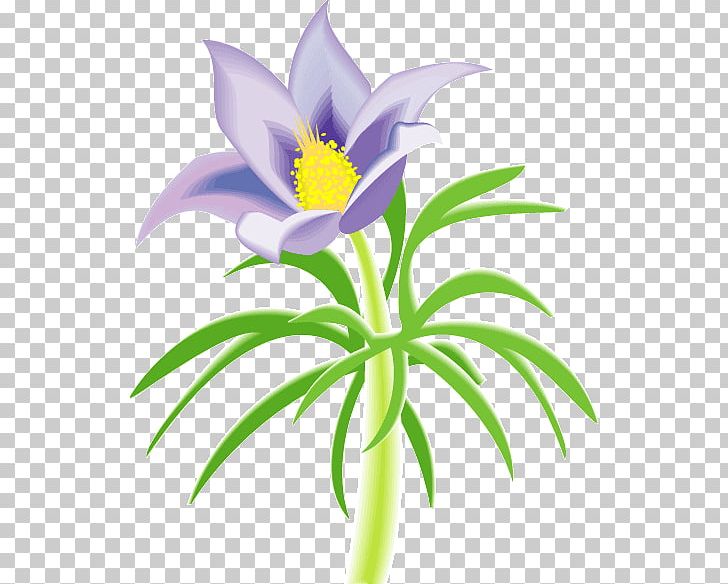 Attention Deficit Hyperactivity Disorder Petal Flower PNG, Clipart, Attention, Download, Flora, Flower, Flowering Plant Free PNG Download