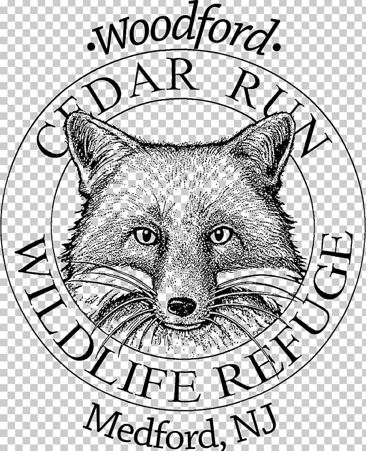 Red Fox University Of Seville Line Art Snout PNG, Clipart, Area, Artwork, Black And White, Carnivoran, Cartoon Free PNG Download