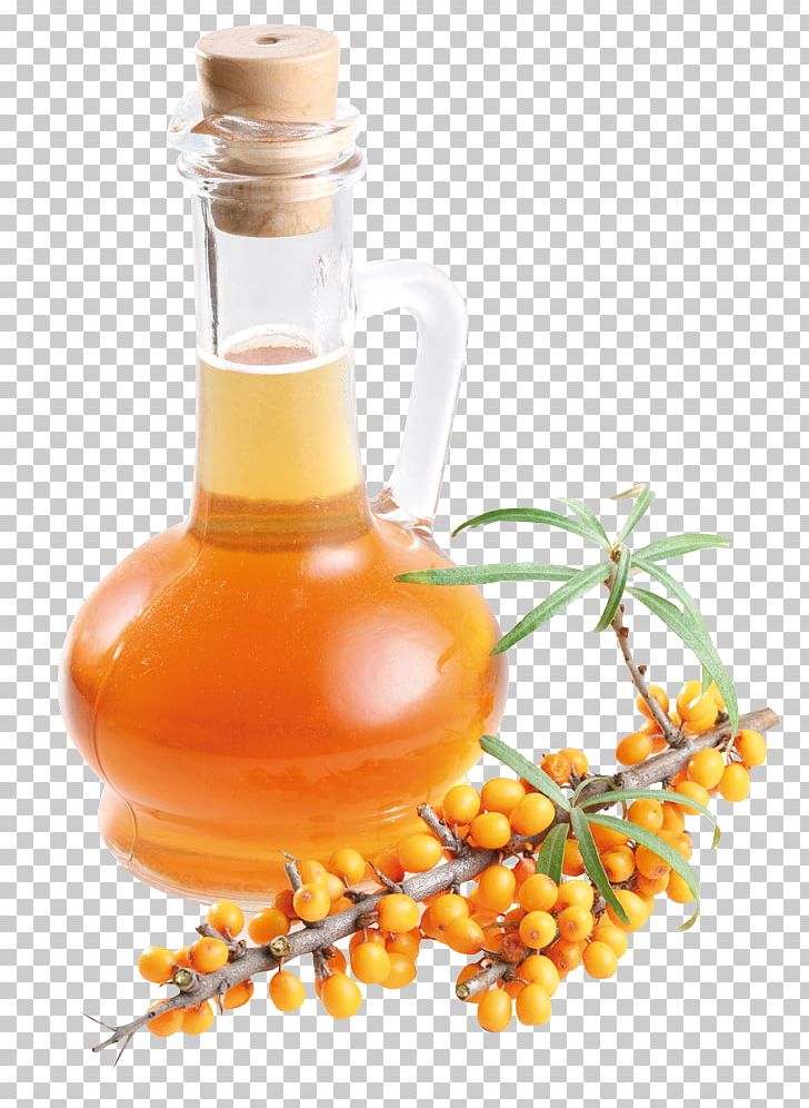 Sea Buckthorn Oil Dietary Supplement Seaberry Health PNG, Clipart, Buckthorn, Carotenoid, Cooking Oil, Disease, Food Free PNG Download