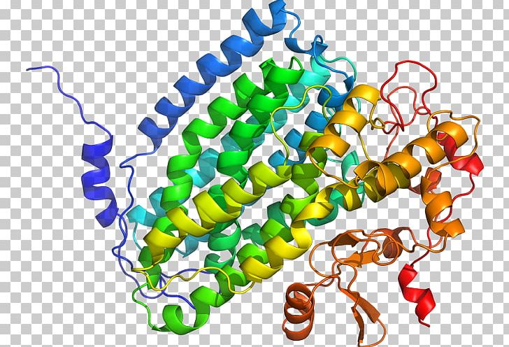 Beta-secretase 1 Transmembrane Protein Amyloid Precursor Protein Secretase Gamma Secretase Amyloid Beta PNG, Clipart, Alamy, Amyloid, Amyloid Precursor Protein, Area, Aspartic Protease Free PNG Download