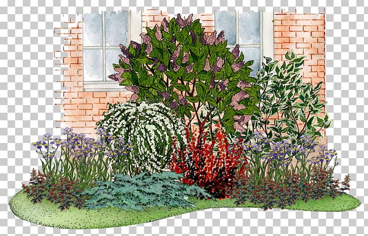 Common Lilac Flower Garden Shrub Tree PNG, Clipart, Blossom, Common Lilac, Evergreen, Fence, Flower Free PNG Download