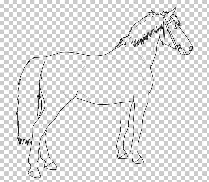 Mule Horse Stallion Foal Colt PNG, Clipart, Animal Figure, Animals, Artwork, Black And White, Bridle Free PNG Download