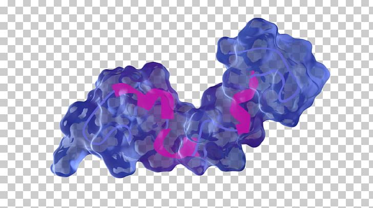 Tau Protein Purple Blue PNG, Clipart, Black, Blue, Brain, Color, Download Free PNG Download