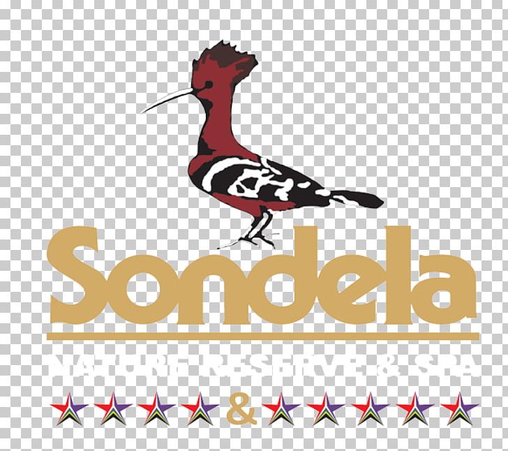 Bela-Bela Sondela Land Cruiser MTB Fun Race 2018 Sondela Nature Reserve & Spa Bela Bela Accommodation PNG, Clipart, Accommodation, Advertising, Area, Artwork, Beak Free PNG Download