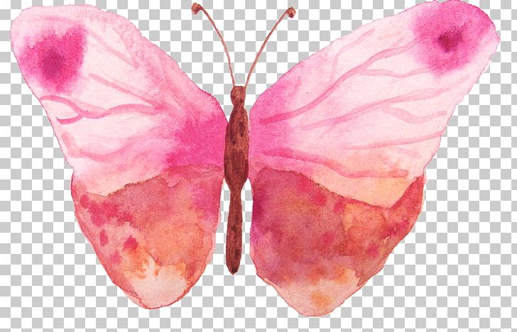 Butterfly Watercolor Painting PNG, Clipart, Arthropod, Beautiful, Encapsulated Postscript, Hand, Insects Free PNG Download