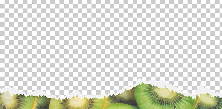 Close-up Person Emoción Frutal Fruit PNG, Clipart, Closeup, Fruit, Grass, Leaf, Others Free PNG Download