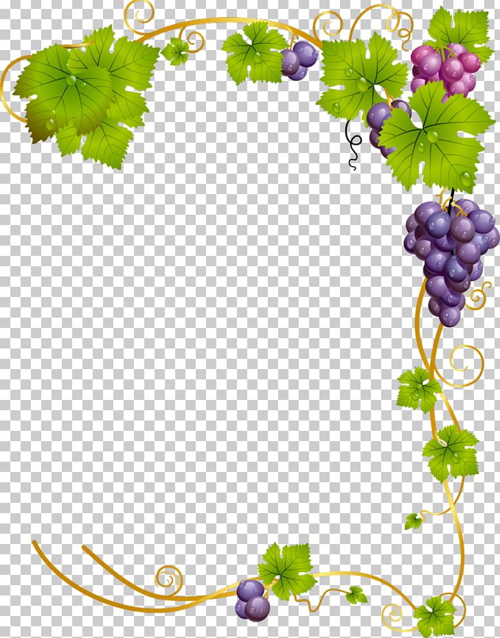 Common Grape Vine Wine PNG, Clipart, Border Frames, Branch, Common Grape Vine, Flora, Floral Design Free PNG Download