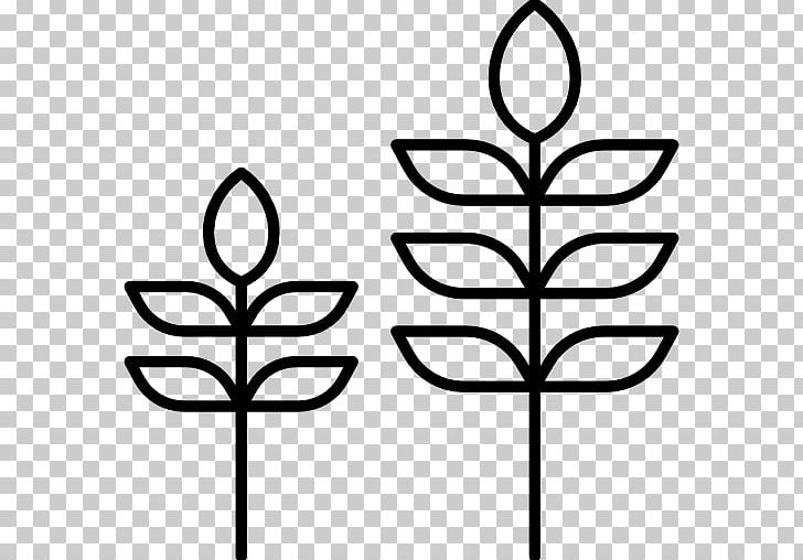 Ecology Nature Flora Computer Icons Environmentalism PNG, Clipart, Artwork, Black And White, Branch, Computer Icons, Ecology Free PNG Download