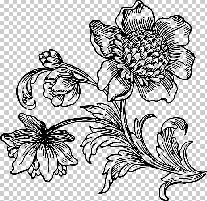 Flower Drawing Line Art Black And White PNG, Clipart, Artwork, Beet, Black, Chrysanths, Color Free PNG Download