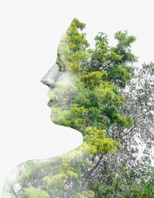 Creative Trees Figure In Profile PNG, Clipart, Camera, Camera Technique, Concept, Concept Image, Creative Free PNG Download