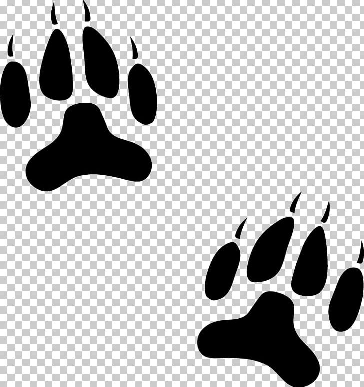 Dog Paw Cat Animal Track PNG, Clipart, Animal, Animals, Animal Track, Black, Black And White Free PNG Download