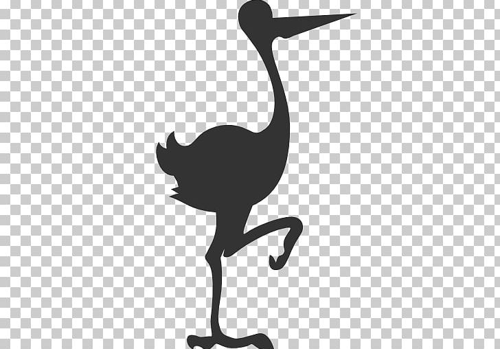 Marabou Stork Infant Child PNG, Clipart, Animal, Animals, Beak, Bird, Birth Free PNG Download