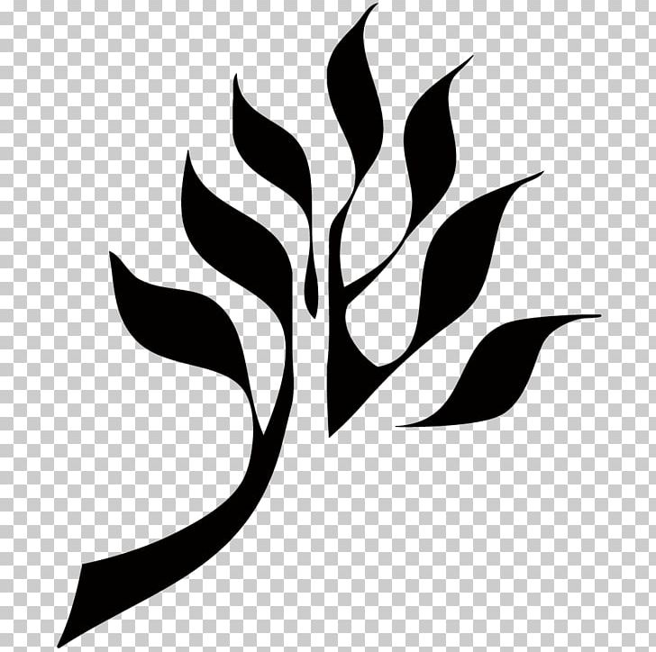 Plant Stem Leaf Flowering Plant White PNG, Clipart, Adam Branch, Artwork, Black And White, Branch, Flora Free PNG Download