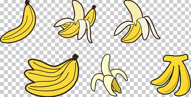 Cooking Banana Fruit Drawing PNG, Clipart, Banana, Banana By, Banana Family, Black And White, Coloring Book Free PNG Download