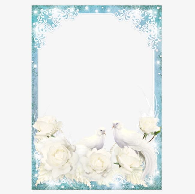 A White Dove Floral Frame PNG, Clipart, Border Frame, Carnations, Cute