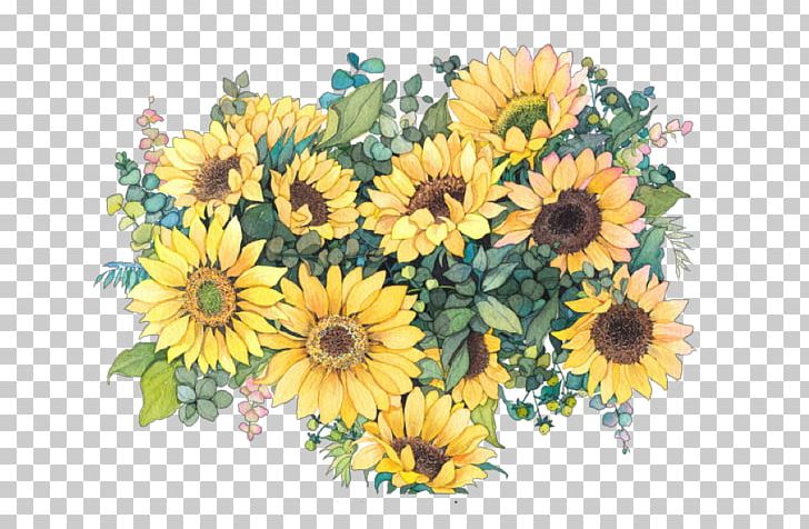 Common Daisy Common Sunflower Watercolor Painting Drawing PNG, Clipart, Annual Plant, Art, Chrysanths, Common Daisy, Common Sunflower Free PNG Download
