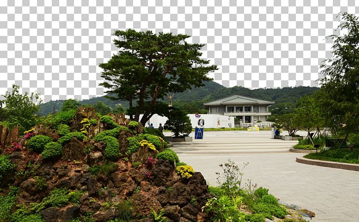 Jeju City Yakcheonsa Seoul Yongmeori Coast PNG, Clipart, Cartoon Island, Famous, Fig, Floating Island, Garden Free PNG Download