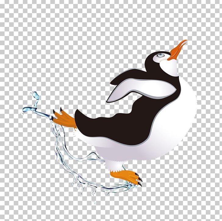 dancing penguins clipart