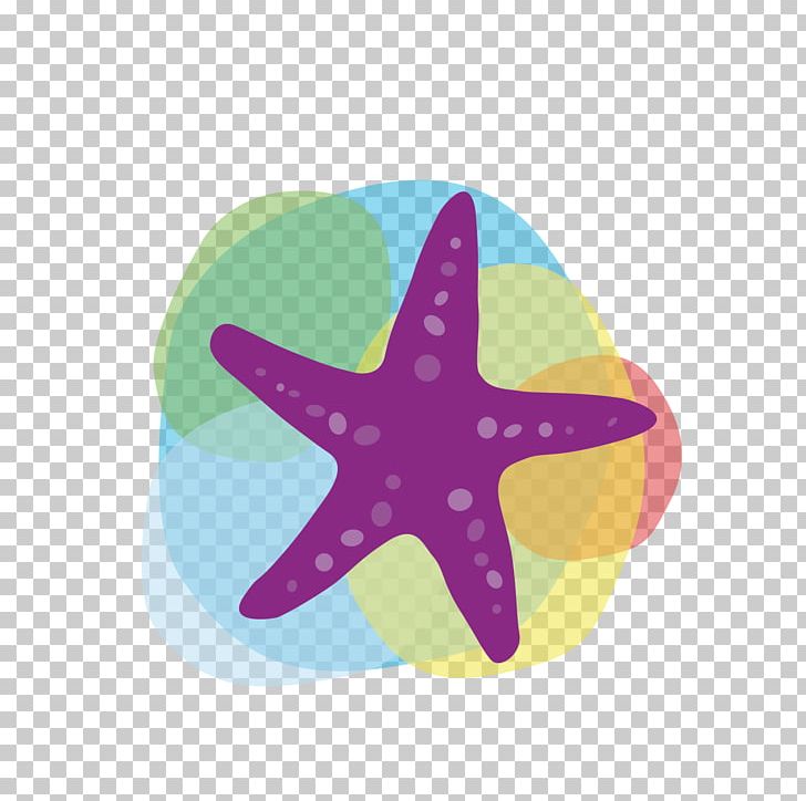 Tourism Euclidean Icon PNG, Clipart, Animals, Beautiful Starfish, Happy Birthday Vector Images, Logo, Marine Invertebrates Free PNG Download