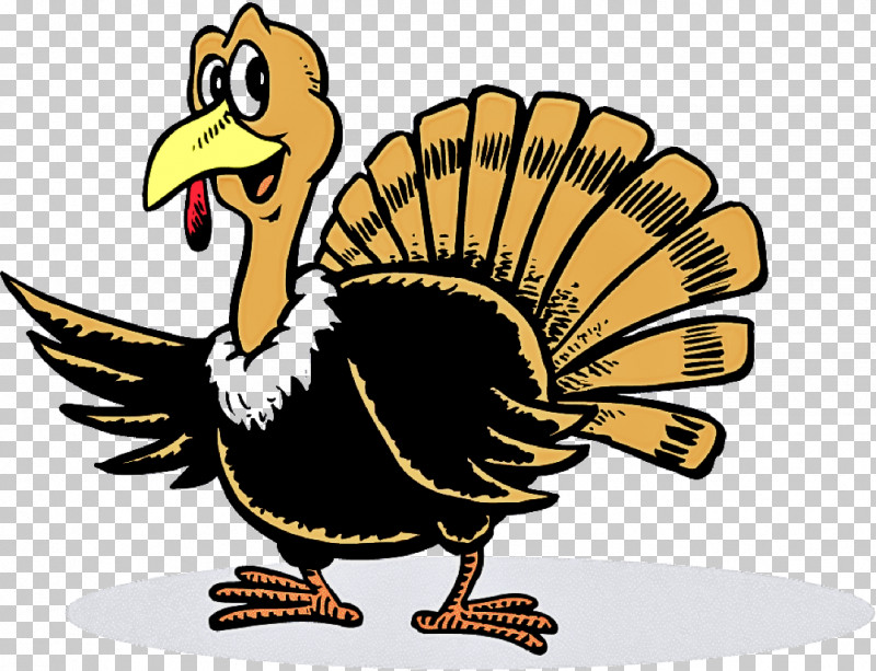 Bird Turkey Beak Cartoon Flightless Bird PNG, Clipart, Beak, Bird, Cartoon, Dodo, Ducks Geese And Swans Free PNG Download
