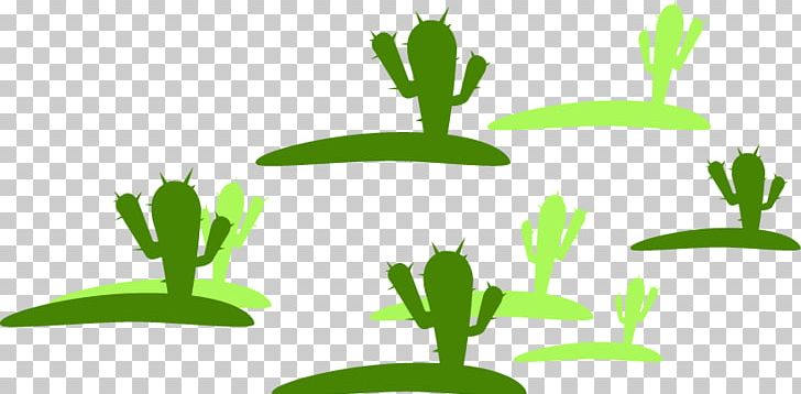 Cactaceae PNG, Clipart, Cac, Cactaceae, Cactus, Cactus Cartoon, Cactus Flower Free PNG Download