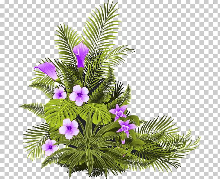 Floral Design PNG, Clipart, Arecales, Art, Branch, Conifer, Cut Flowers Free PNG Download