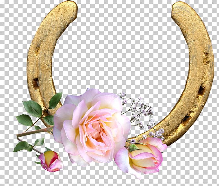 Horseshoe Pony Rose PNG, Clipart, Animals, Body Jewelry, Floral Design, Flower, Hair Accessory Free PNG Download