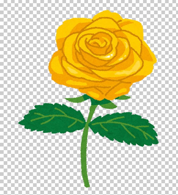 Blue Rose Color 真夜中ごはん PNG, Clipart, Blue Rose, Color, Cut Flowers, Flower, Flowering Plant Free PNG Download