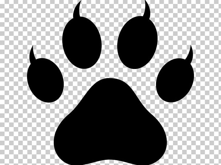 Dog Polydactyl Cat Paw PNG, Clipart, Animals, Animal Track, Bear, Black, Black And White Free PNG Download
