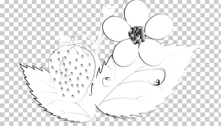 Insect Pollinator Line Art Petal Sketch PNG, Clipart, Artwork, Black And White, Body Jewellery, Body Jewelry, Circle Free PNG Download