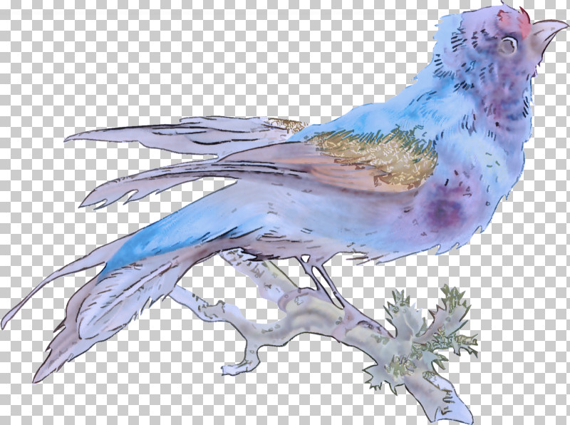 Feather PNG, Clipart, Beak, Biology, Birds, Feather, Finches Free PNG Download