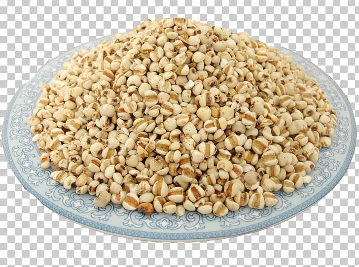 Adlay Cereal Barley Food Wheat PNG, Clipart, Adlay, Autumn, Autumn Harvest, Barley, Barley Farm Free PNG Download