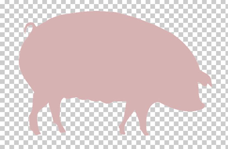 Domestic Pig Agriculture Farm PNG, Clipart, Agriculture, Animal Husbandry, Animals, Cattle Like Mammal, Domestic Pig Free PNG Download