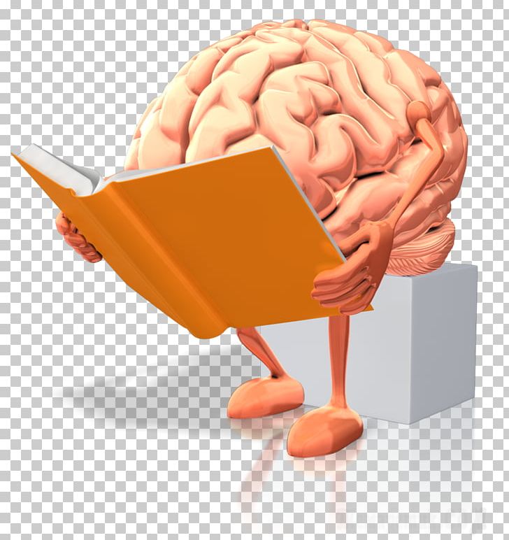 Human Brain Dyslexia Reading Brain Rules PNG, Clipart, Artificial Neural Network, Book, Brain, Brain Rules, Cognitive Training Free PNG Download