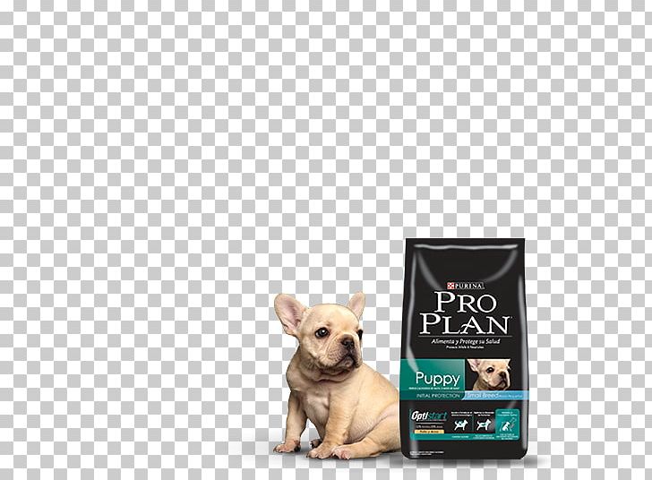 Pro Plan Puppy Small Chicken And Rice Dog Nestlé Purina PetCare Company Breed PNG, Clipart, Breed, Bulldog, Carnivoran, Dog, Dog Breed Free PNG Download