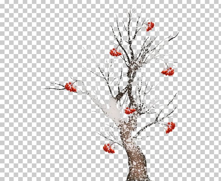 Twig Tree Pine PNG, Clipart, Art, Blossom, Branch, Christmas, Christmas Tree Free PNG Download