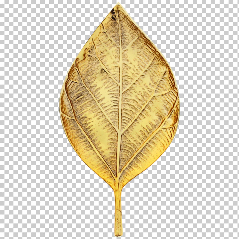 Leaf Plant Tree Swamp Birch Beech PNG, Clipart, Beech, Leaf, Paint, Plant, Swamp Birch Free PNG Download