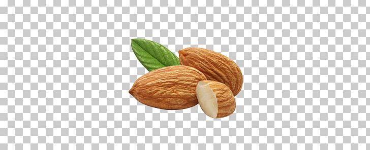 Almond PNG, Clipart, Almond Free PNG Download