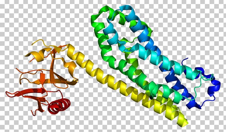 Body Jewellery PNG, Clipart, Body Jewellery, Body Jewelry, Guanine Nucleotide Exchange Factor, Jewellery, Line Free PNG Download