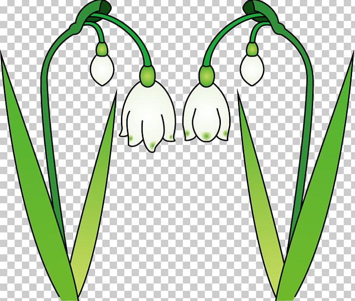 Flower Snowdrop PNG, Clipart, Area, Artwork, Cyclamen, Flora, Flower Free PNG Download